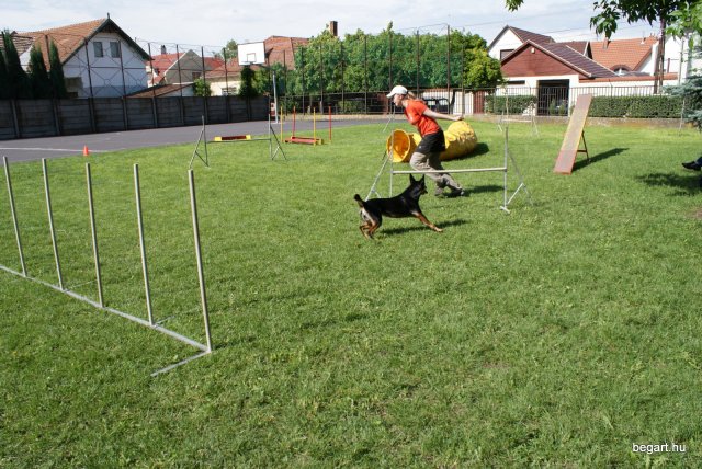 Gyereknap