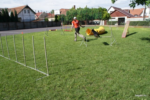 Gyereknap