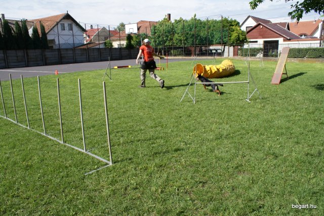 Gyereknap