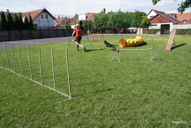 Gyereknap