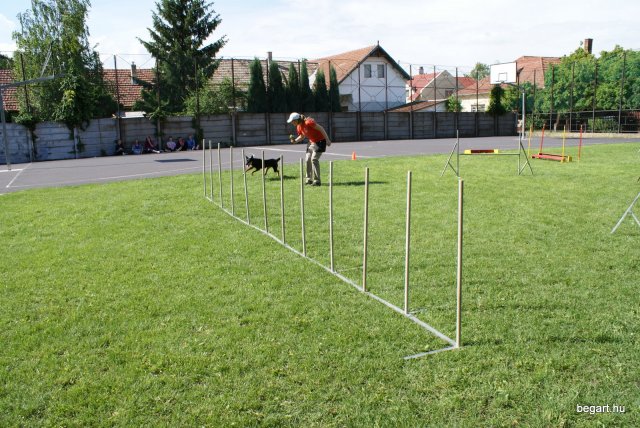 Gyereknap
