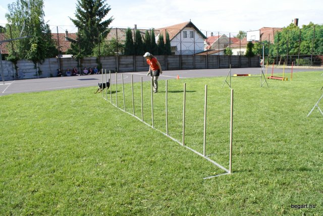 Gyereknap