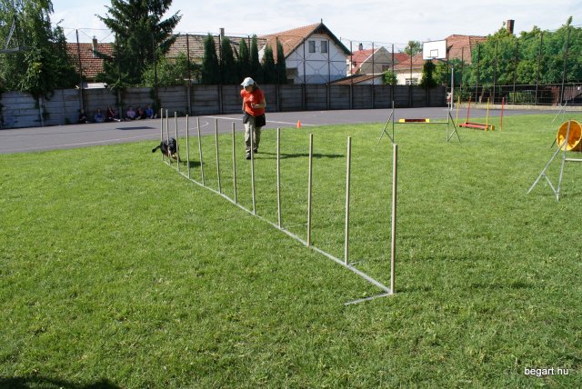 Gyereknap