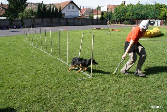 Gyereknap