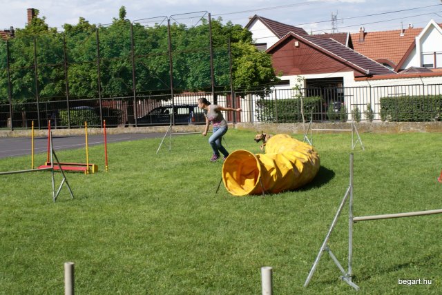 Gyereknap