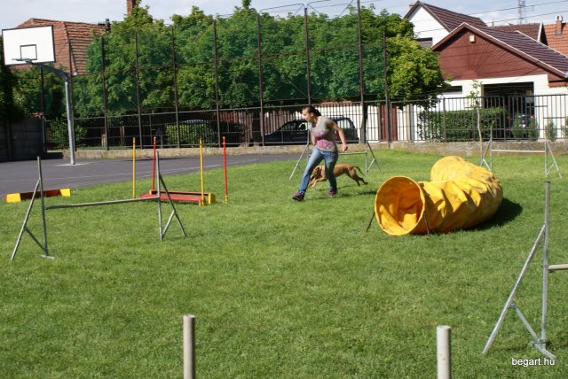 Gyereknap