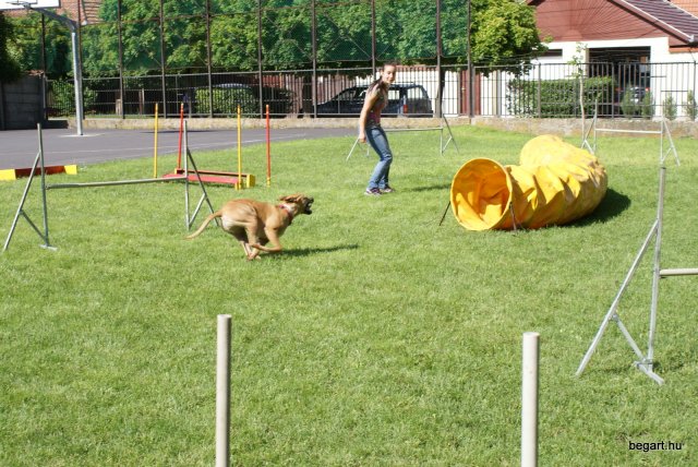 Gyereknap