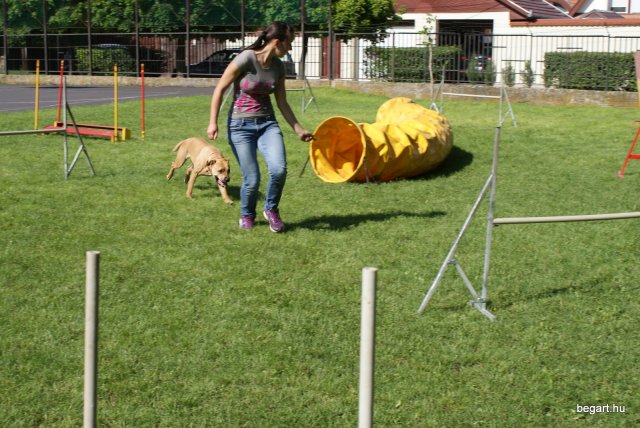 Gyereknap
