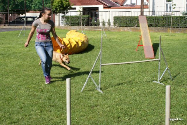 Gyereknap