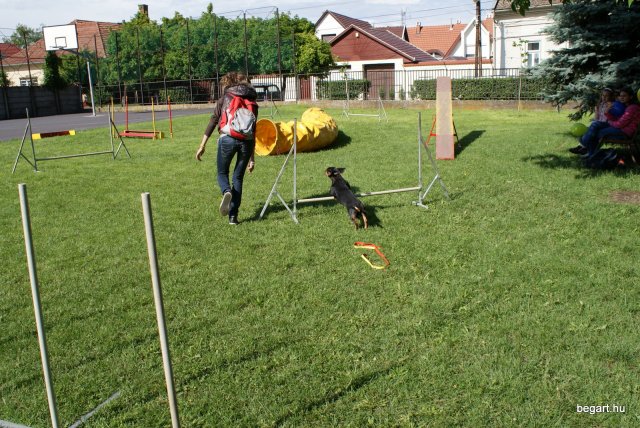 Gyereknap