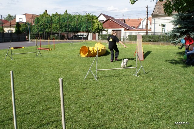 Gyereknap