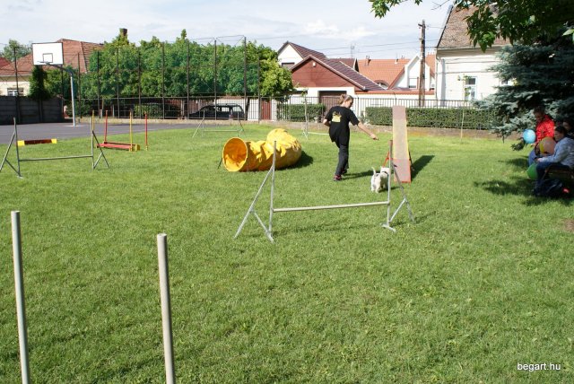Gyereknap