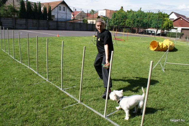 Gyereknap