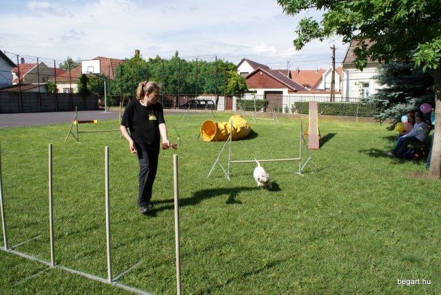 Gyereknap