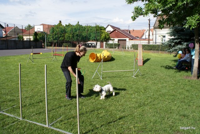 Gyereknap