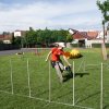 Gyereknap