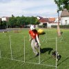 Gyereknap