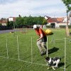 Gyereknap