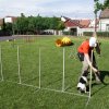 Gyereknap