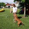 Gyereknap