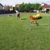 Gyereknap