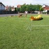 Gyereknap