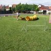 Gyereknap