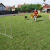Gyereknap