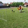 Gyereknap