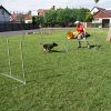 Gyereknap