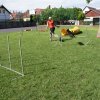 Gyereknap