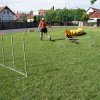 Gyereknap