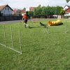 Gyereknap