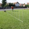 Gyereknap