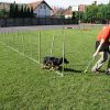 Gyereknap