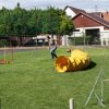 Gyereknap