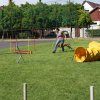 Gyereknap