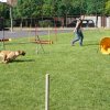Gyereknap