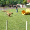 Gyereknap