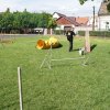Gyereknap