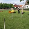 Gyereknap