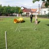 Gyereknap