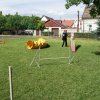 Gyereknap