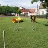 Gyereknap