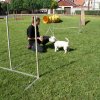 Gyereknap