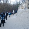 Kirándulás a Budai-hegységbe 