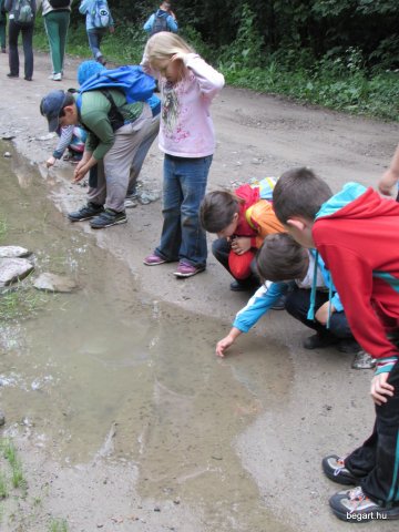 Nyárköszöntő túra a BEG Barangolókkal