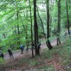 Nyárköszöntő túra a BEG Barangolókkal