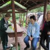 Nyárköszöntő túra a BEG Barangolókkal