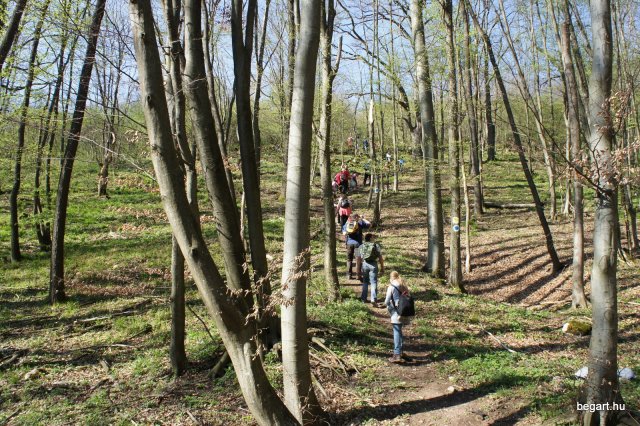 BEG Barangolókkal a Zichy-barlangban